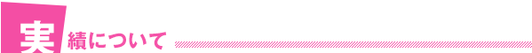 実績について